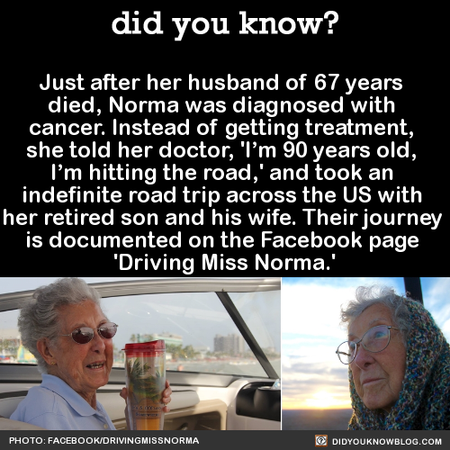 did-you-kno:  Just after her husband of 67 years  died, Norma was diagnosed with  cancer. Instead of getting treatment,  she told her doctor, ‘I’m 90 years old,  I’m hitting the road,’ and took an  indefinite road trip across the US with  her
