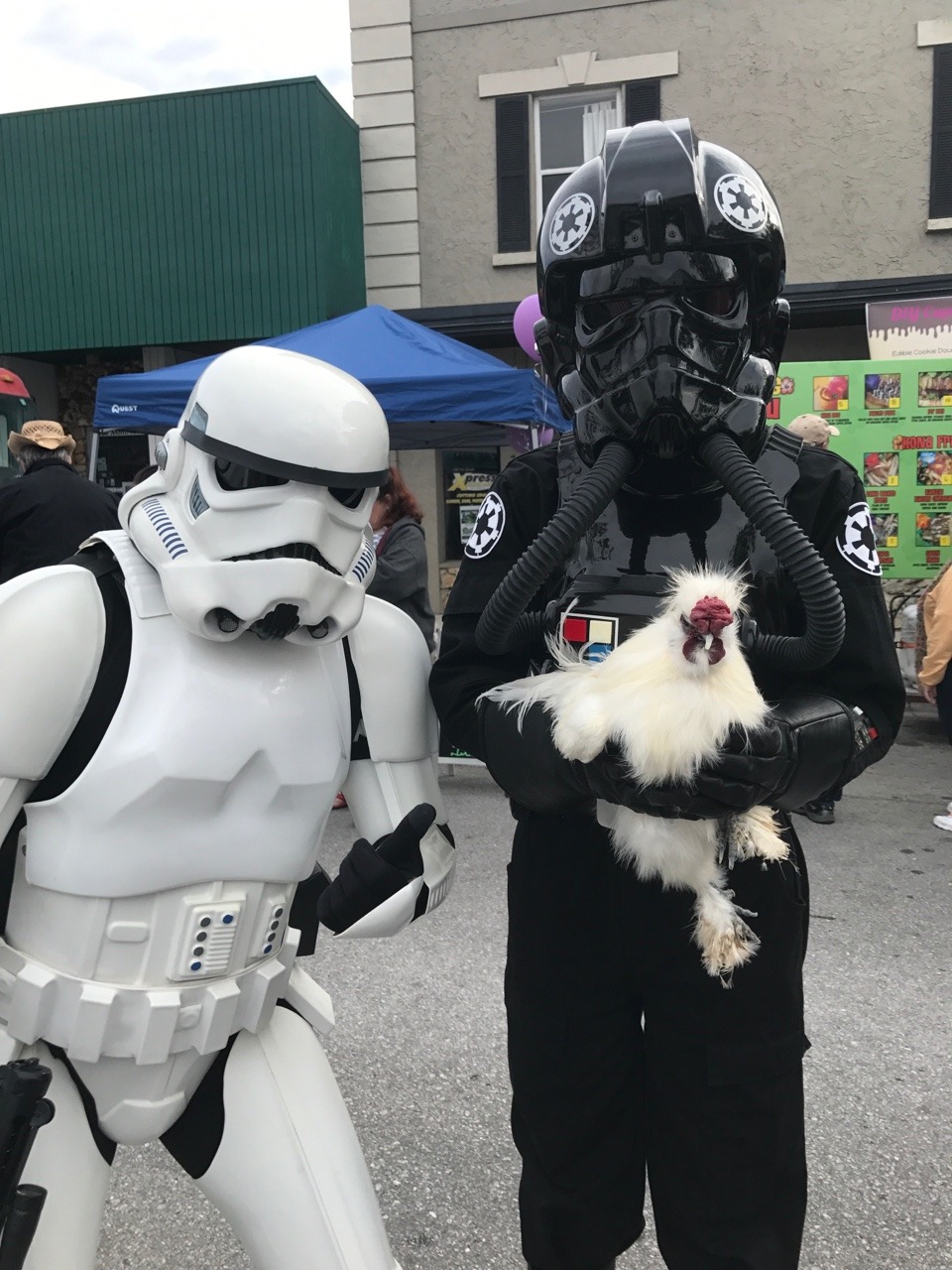 chickenkeeping:  This is Hae Hae and he’s on the dark side_______OHJGJKJGHJG i