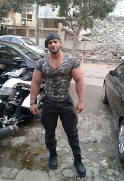 Arab muscle Dreamz