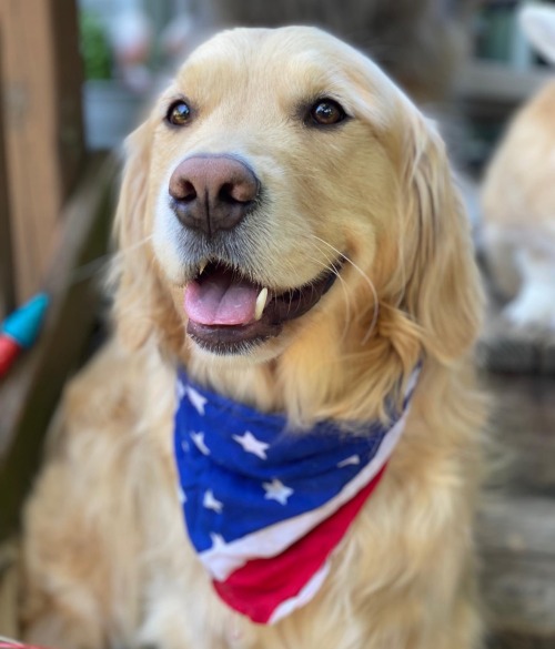 Happy 4th Of July!