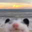 milboob
