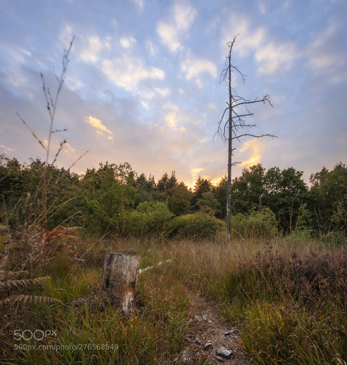 Fall by antonycooperba