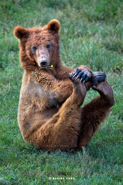 magicalnaturetour:  PILATES by Marina Cano 