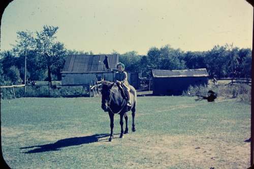 My mom, Linda, at a farm riding a horse