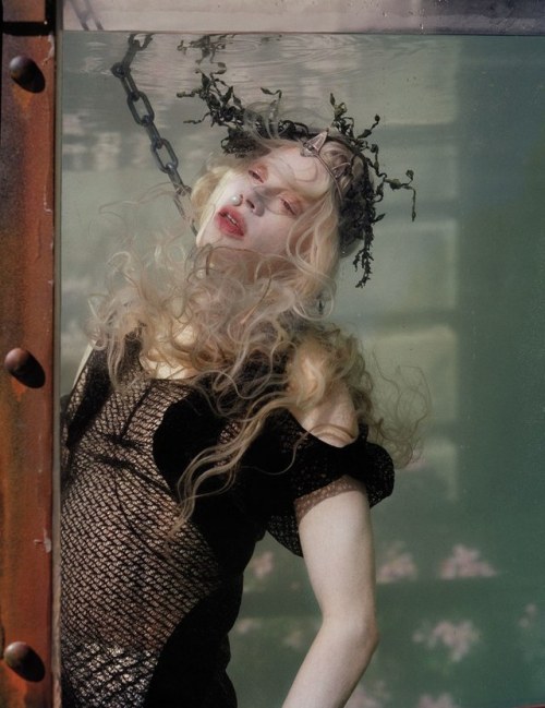 tim walker