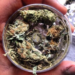 weedporndaily:  grindin’ up Ma sticky😤✂️ by imranisanigga http://ift.tt/YBRkU0 