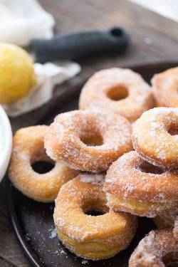 fattributes:Lemon Sugar Biscuit Donuts