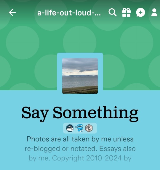 Tumblr media