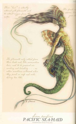 ignissannat:  Mermaid and Sea-maid from Arthur Spiderwick’s Field Guide to the Fantastical World 