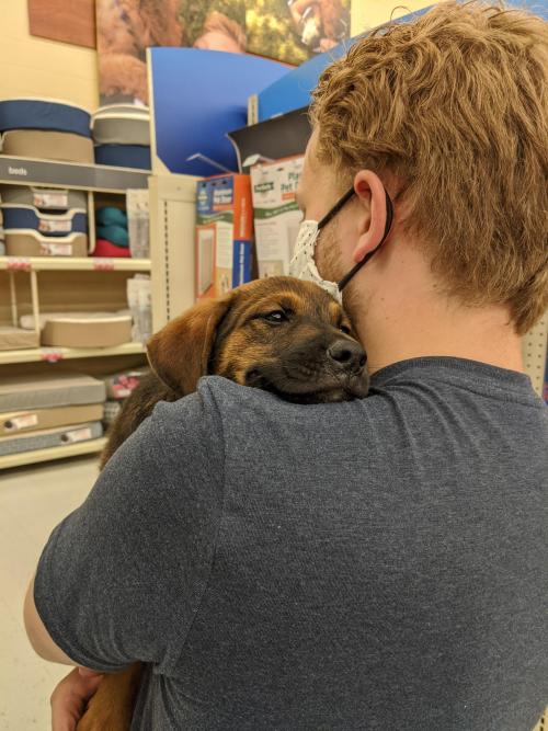 hitmewithcute:First time being carried after being rescued.