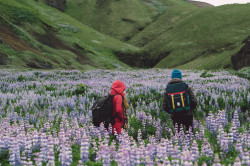 topo-designs:  Flap Pack friends out in Iceland