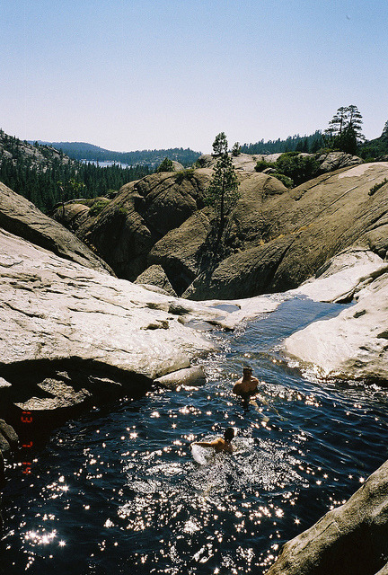 raises:  nature/vintage blog    
