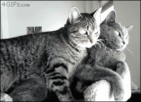 The Best Of Tumblr Blog - 1000Notes.com
