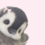 cherryblossompost