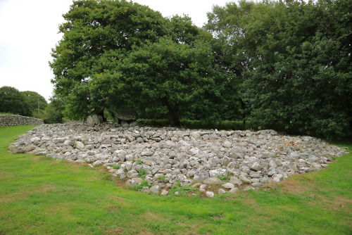 Dyffryn Prehistoric Burial Chambers, Dyffryn Ardudwy, North Wales, 28.8.18Two prehistoric communal b