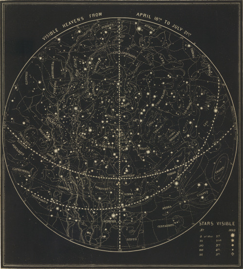 marthajefferson:itschis:David Rumsey Historical Map Collection1850 Star Chart