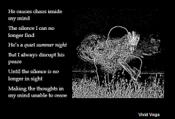 vividvega:  Follow Vivid Vega’s Username Poetry Series, winner: @quietsummernight