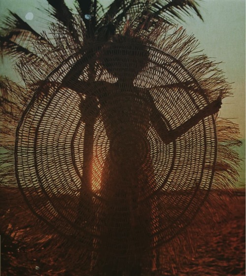 Equatorjournal:  Douglas Baglin, Elcho Island Woman Weaving A Mat, 1972.  The Women