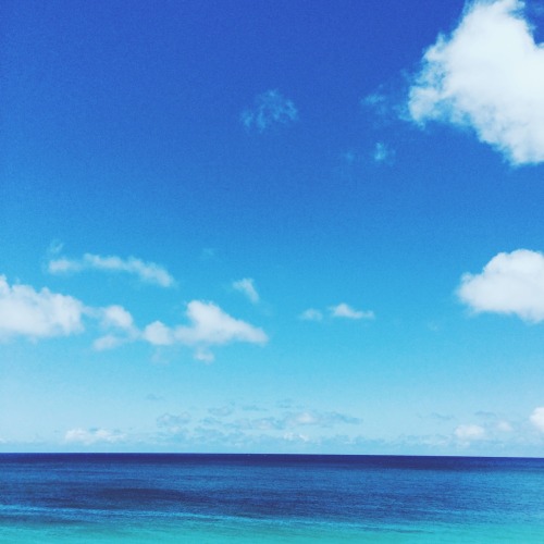 christian-harvey:  Views