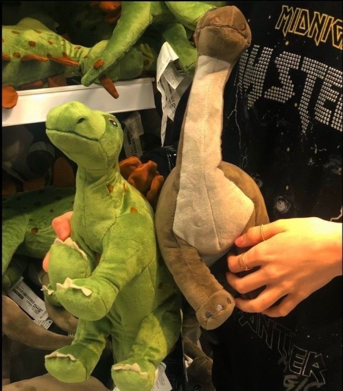 Ok, This Is Actually SCARILY ACCURATE. THE STUDYING ONE AND THE DINOS OMG