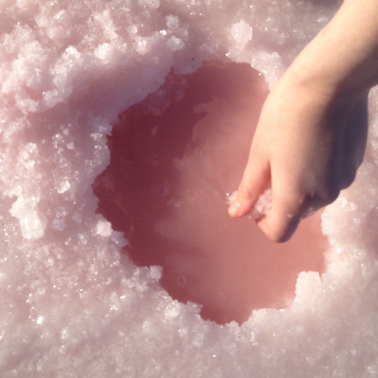 trupup:  i found a pink salt lake yesterday! it was so pretty and fun 