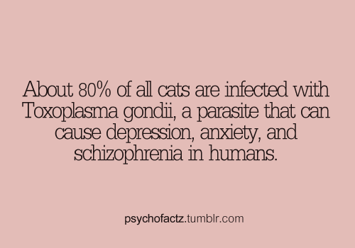 psychofactz:  More Facts on Psychofacts :)