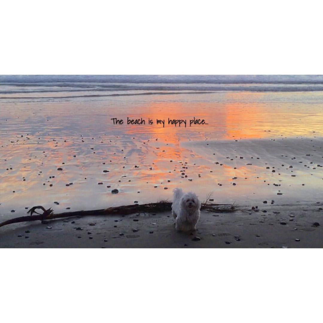 Get apefit with April!!! on Tumblr: The beach is my happy place… Marina Del  Rey Sunset... https://vimeo.com/151866449 #nevermissasunset #quotes #clouds  #sunset...