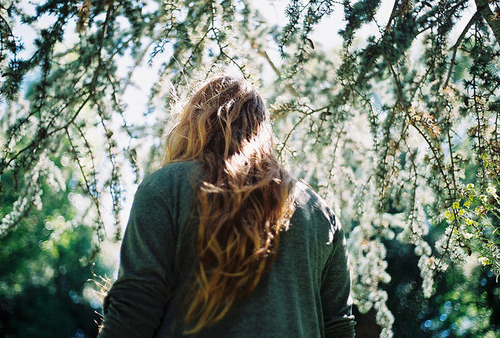 ercuillium:  Take these broken wings and learn to fly | via Tumblr on We Heart It - http://weheartit.com/entry/71802275