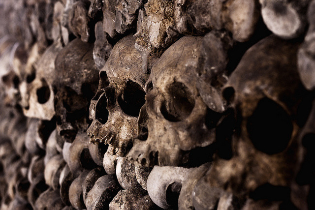 taphophilia:  Catacombes Skulls by Crazy Ivory on Flickr.