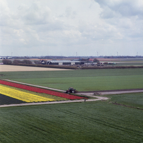 Callantsoog, Netherlands | May 2021 | Hasselblad 500CM on Fujicolor Pro 400H