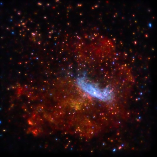 MSH 11-62 Supernova Remnant: A long observation with Chandra of the supernova remnant MSH 11-62 reve