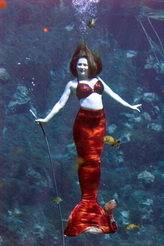 BEAUTIFUL MERMAID SWIMMING IN CRYSTAL CLEAR WATER 