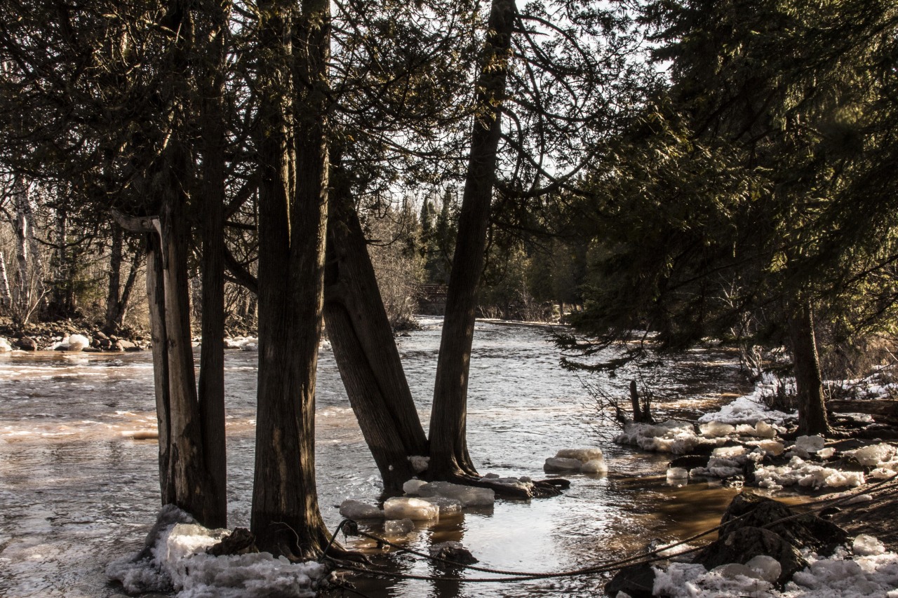 infamousartworks:Duluth, MN 3-14-16shot by sbt (Shane Toomey)