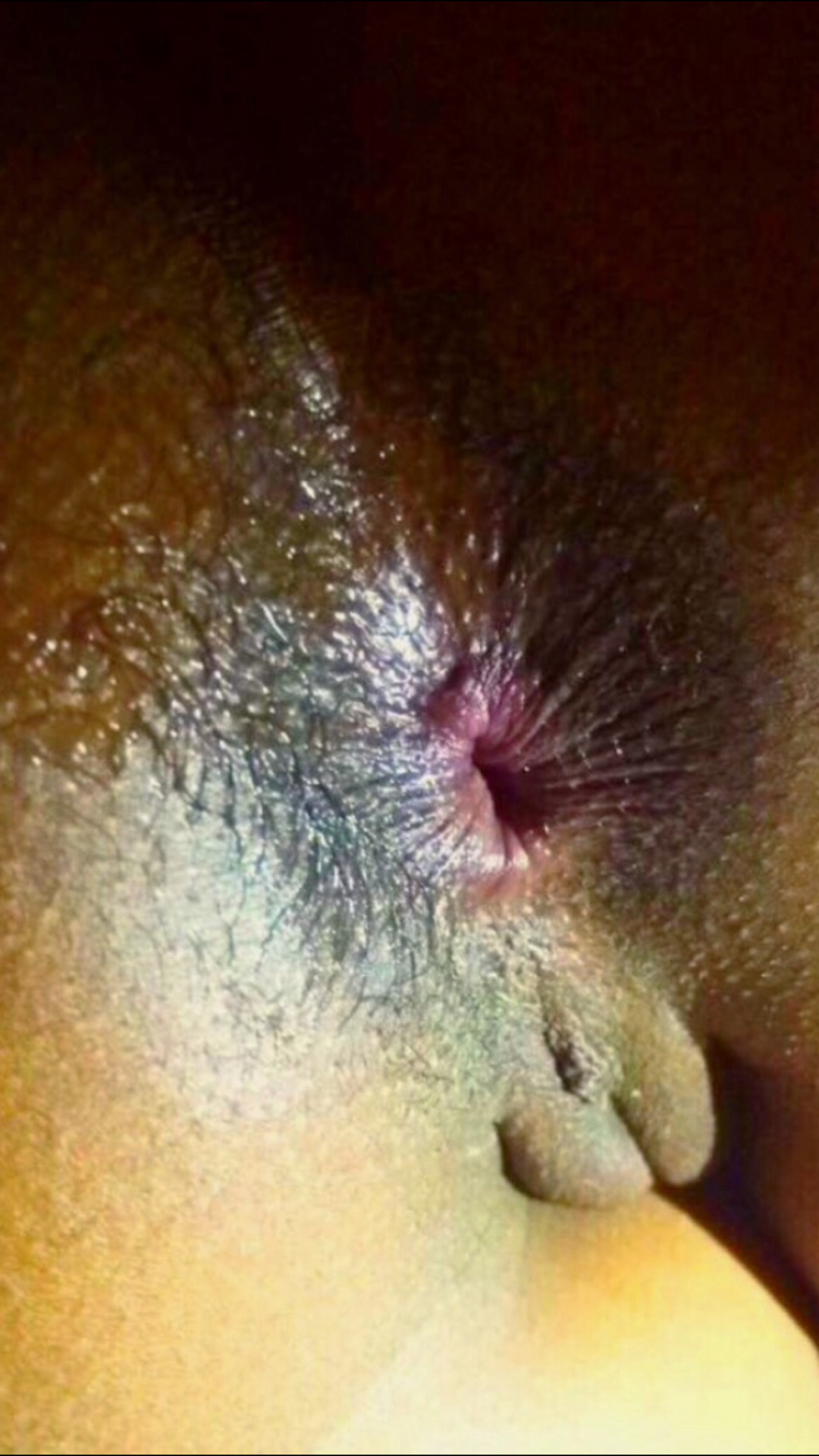 dirtyfantasy69:  Made him lick my ass clean !