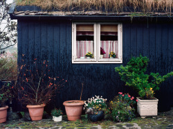 katemolenkamp:  Streets of Tórshavn. Føroya/Faroe Islands (Oct 2014) 