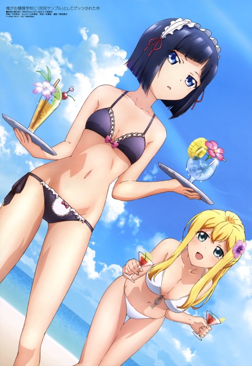 jorgesenpai:  Poster Newtype and Megami