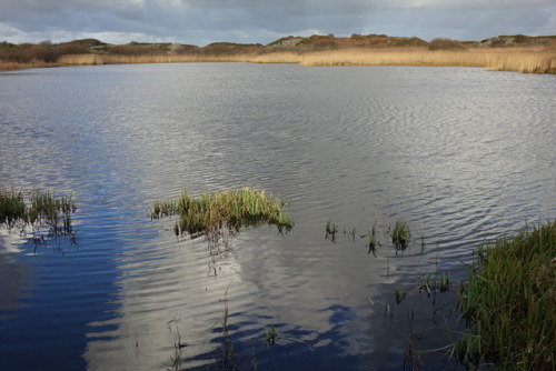 Llyn Cerrig Bach, Iron Age Sacred Lake and site of key votive archaeological finds, Anglesey, North 
