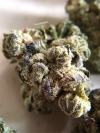 pourpaintmylove-deactivated2022:The dispo weed I got today is very very pretty