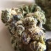 pourpaintmylove-deactivated2022:The dispo weed I got today is very very pretty