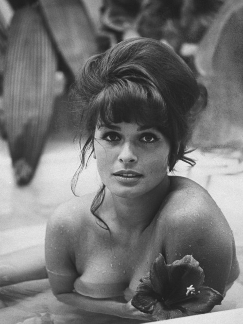 sowhatifiliveinkyushu:  Senta Berger