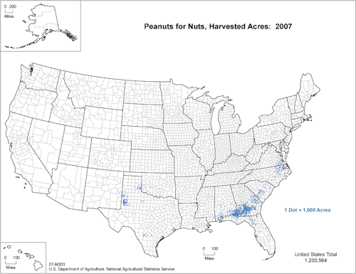 Total Harvested Acres of Peanuts in the US in 2007