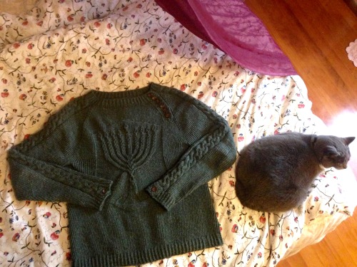 pardalote:mouldy-soybeans:My Hanukkah Sweater is finished for real this time, no more safetypins. Th