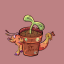 xdragon-sproutx