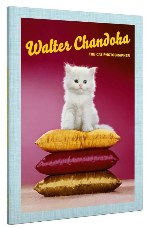 providencepubliclibrary: Happy Caturday! The Aperture Foundation has just released a book about Walt
