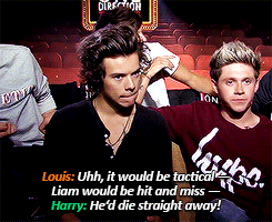 16meets18:Hunger Games - Harry and Louis would be tactical, and discuss why Liam would die first 28.