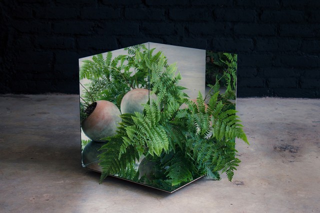 phorbidden:  Vegetal Sceneries by Salmiana – Fubiz™