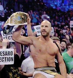 brassringclub: a list of things I never knew I wanted: cesaro as intercontinental