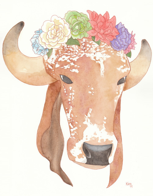 This is a watercolor painting of my favorite cow, Bhima. He&rsquo;s a Gyr oxen who lives at SASH