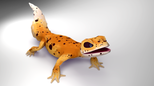 3D Low-poly Leopard Gecko! I’ve been working on this cutie for a bit and finally rigged him for pose