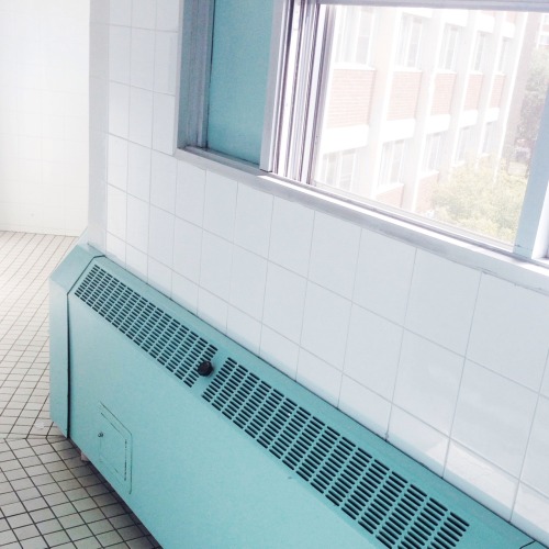 ixng:  bathroom for the next 8 months 